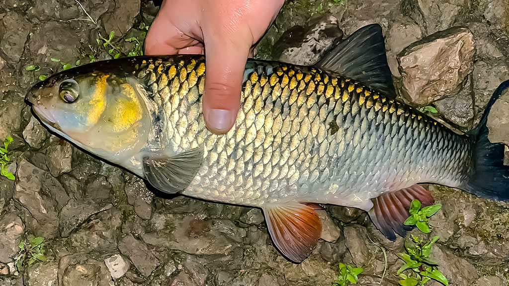 Tritaškis arba kaip nusiraminti Tritaškis arba kaip nusiraminti