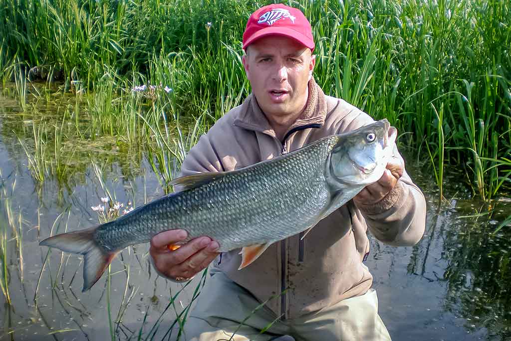 Ne tik salatiniai delikatesai. Pirma dalis Ne tik salatiniai delikatesai. Pirma dalis