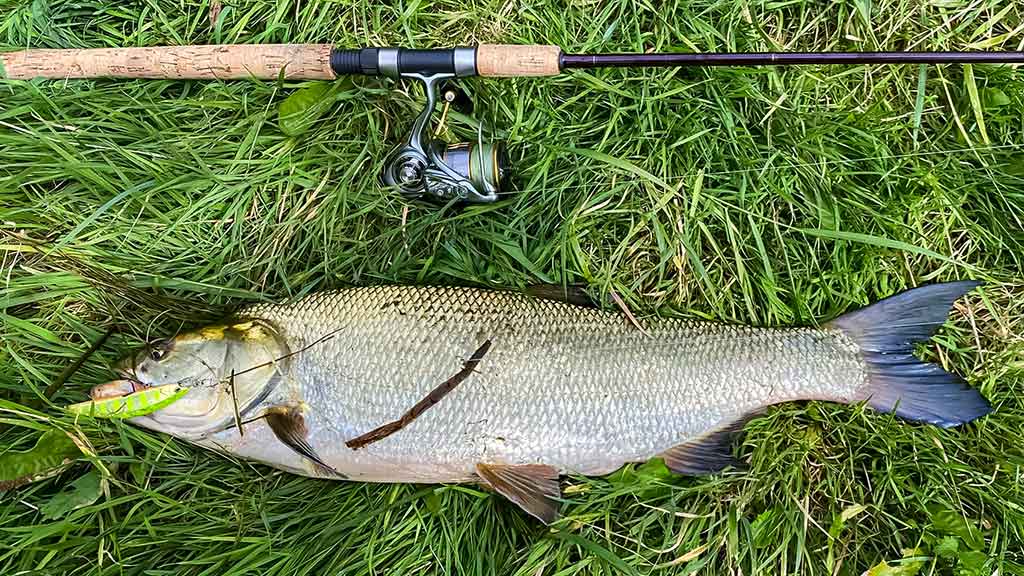 Salatis iš upės vidurio. Antra dalis Salatis iš upės vidurio. Antra dalis