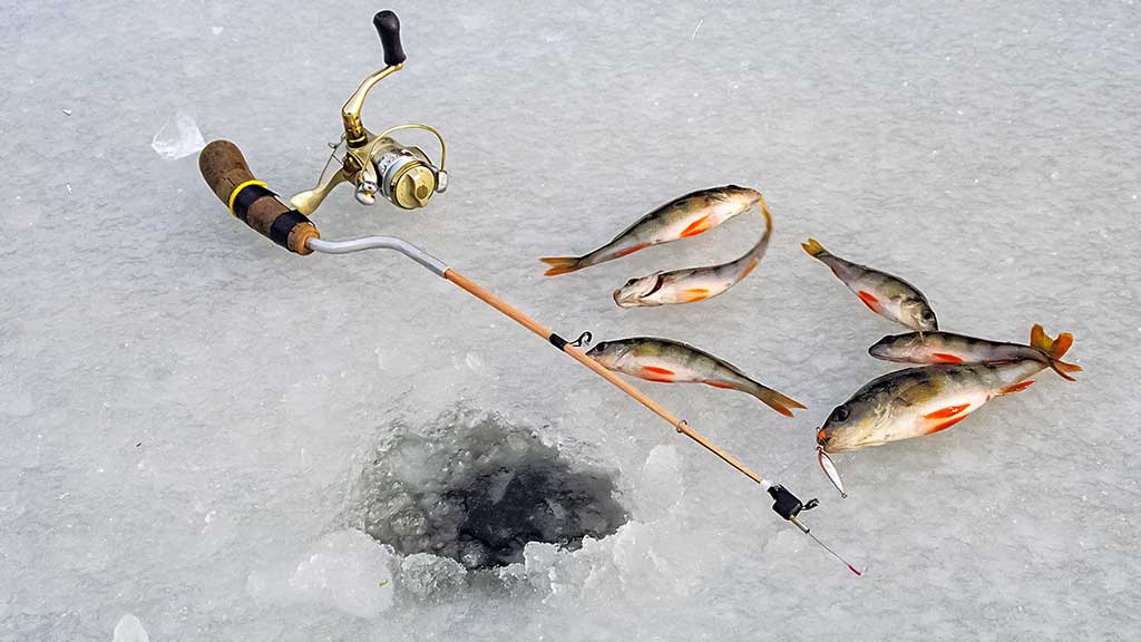 Ar sudėtinga žūklė vertikaliosiomis blizgėmis? Ar sudėtinga žūklė vertikaliosiomis blizgėmis?