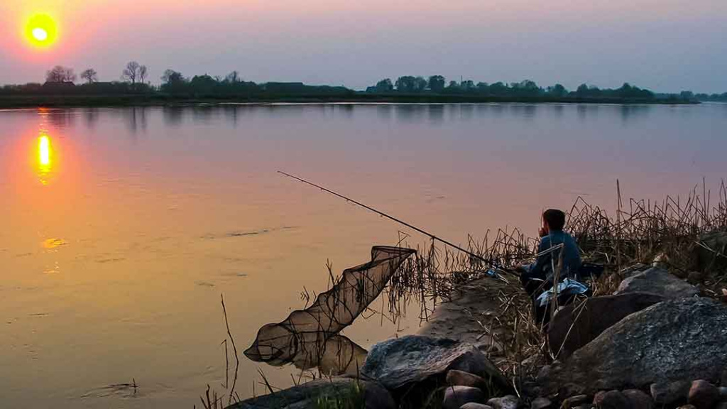 Trys istorijos apie šamą