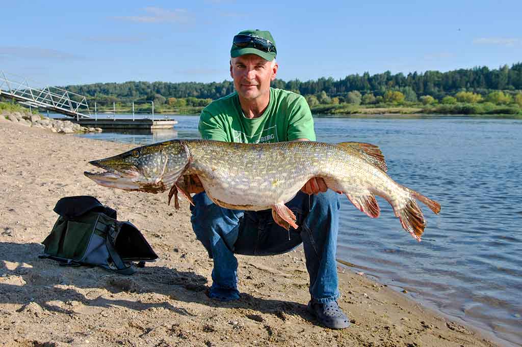 Tie tingūs dideli „krokodilai“ Tie tingūs dideli „krokodilai“