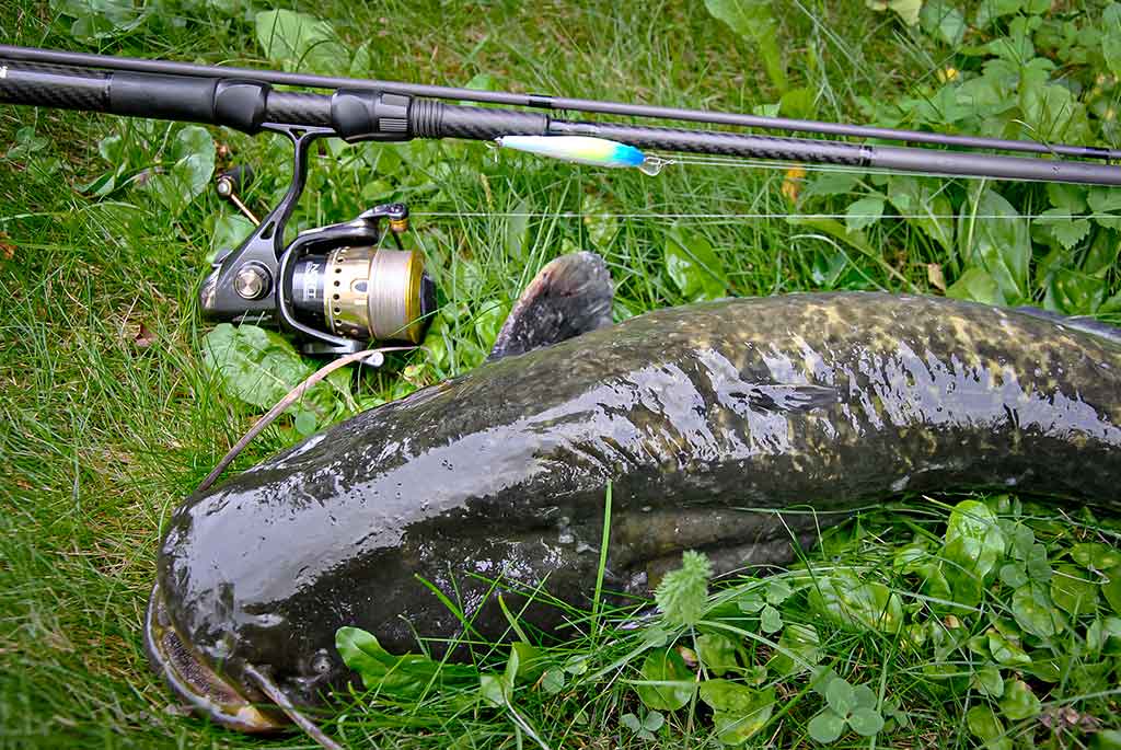Anglys, pluoštai, dervos ir moduliai. Pirma dalis Anglys, pluoštai, dervos ir moduliai. Pirma dalis