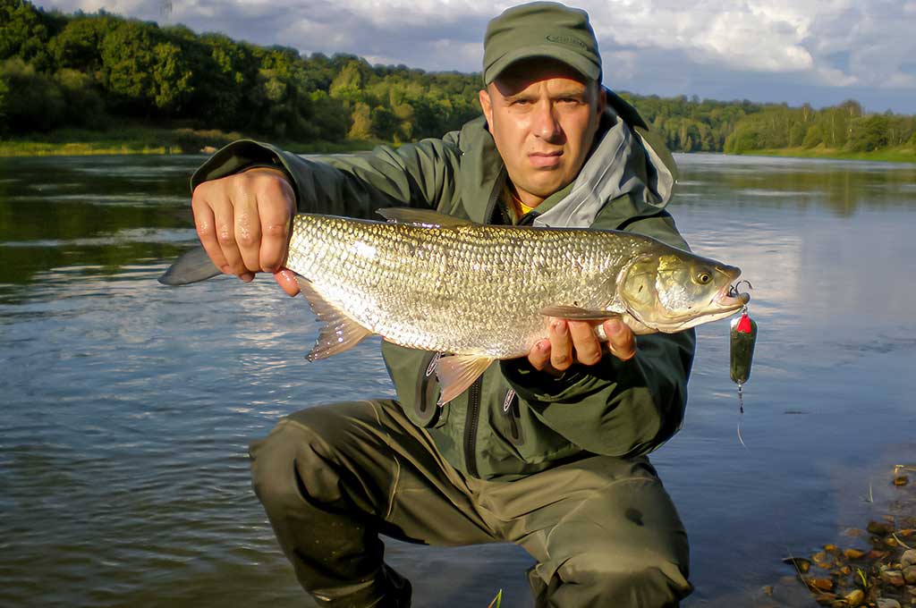 Išsamiai apie bridkelnes. Ketvirta dalis Išsamiai apie bridkelnes. Ketvirta dalis