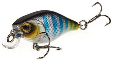 Lucky John Chubby 4F