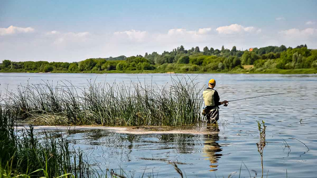 Upė ir lydekos. Toli nuo kranto