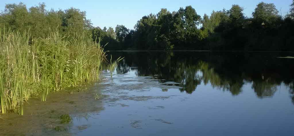 Ežeras Ežeras