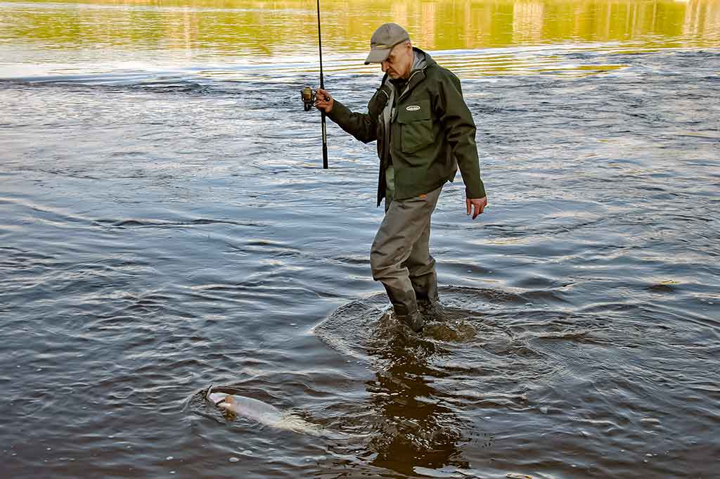 Salatis iš upės vidurio. Antra dalis Salatis iš upės vidurio. Antra dalis