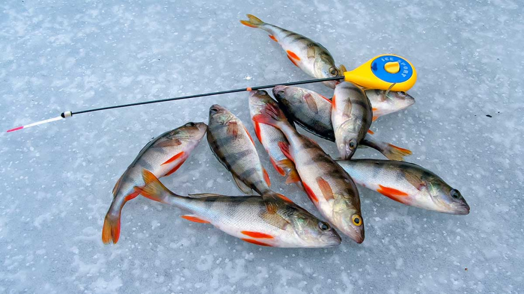 Kaip pagauti ešerį?