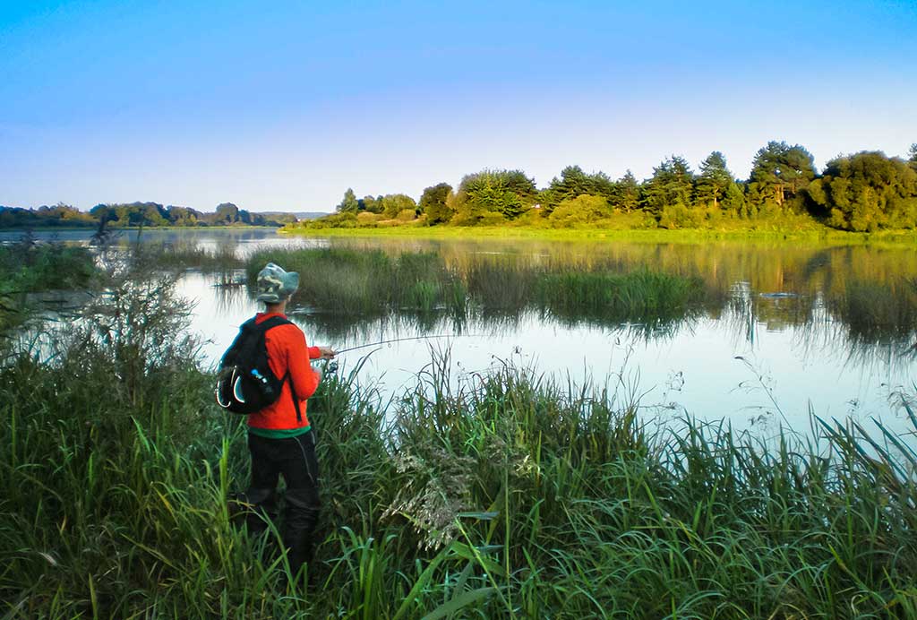Švyst! Ir nuskrido... Pirma dalis Švyst! Ir nuskrido... Pirma dalis