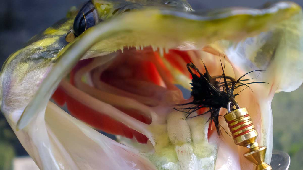 Lydekos, metaliniai masalai, panašumai ir kontrastai