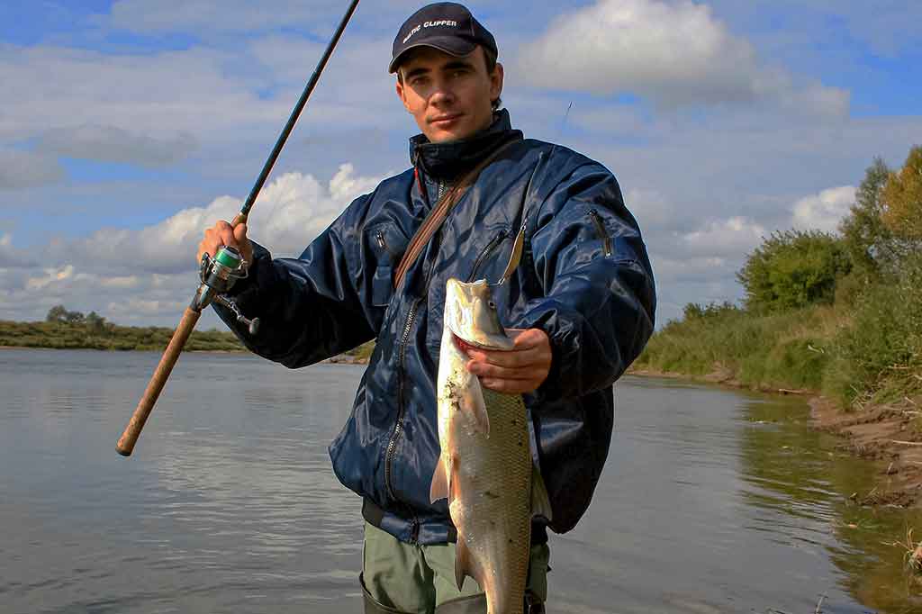 Bendrais bruožais apie salačiams skirtus masalus