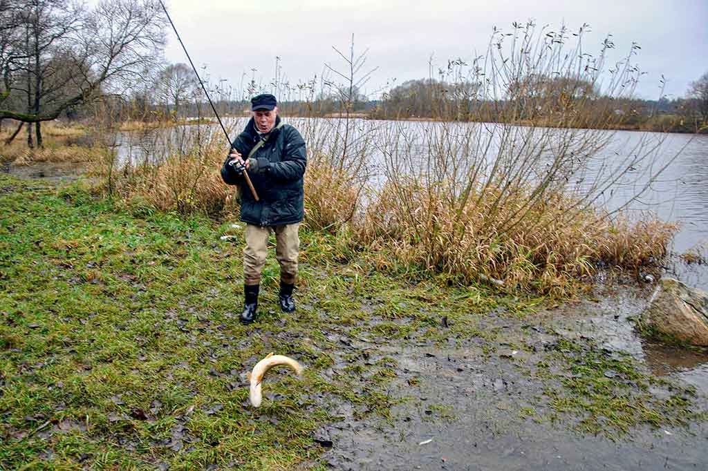Žuvys klaidų nedovanoja