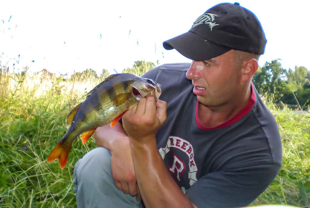 Ešerių gaudymas poperiais Ešerių gaudymas poperiais