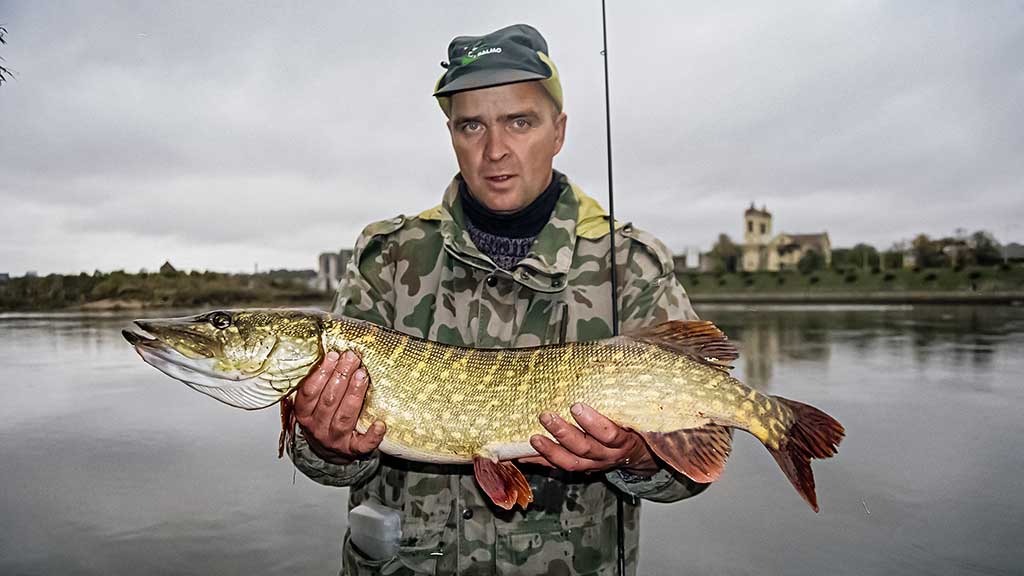 Galvakablis ar ofsetinė galvutė? Antra dalis