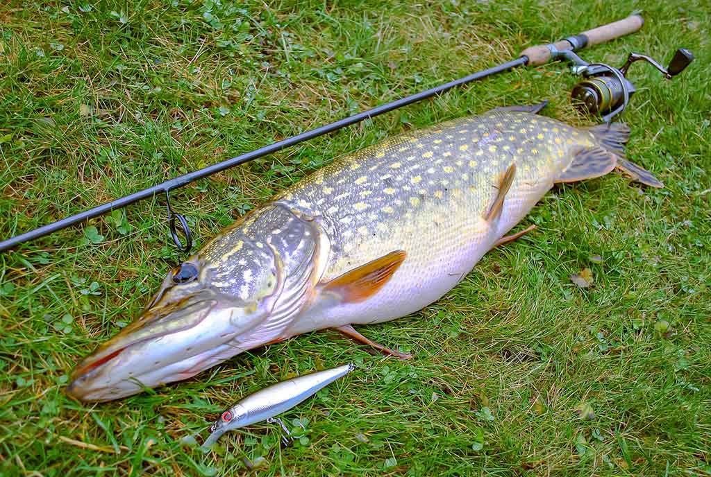 Pakibęs vandens storymėje. Antra dalis Pakibęs vandens storymėje. Antra dalis
