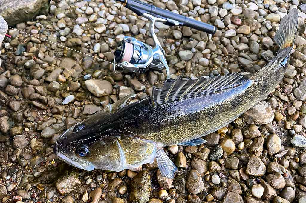 Neįprasta vasara. Pirma dalis Neįprasta vasara. Pirma dalis