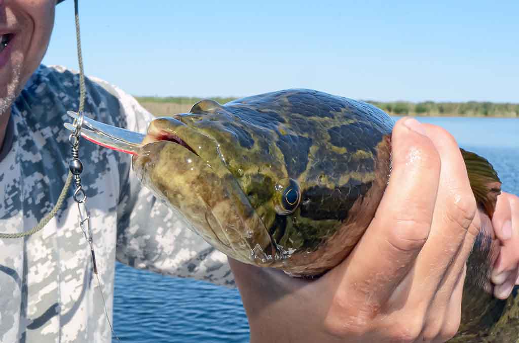 apie žūklę Ilio upės deltoje apie žūklę Ilio upės deltoje