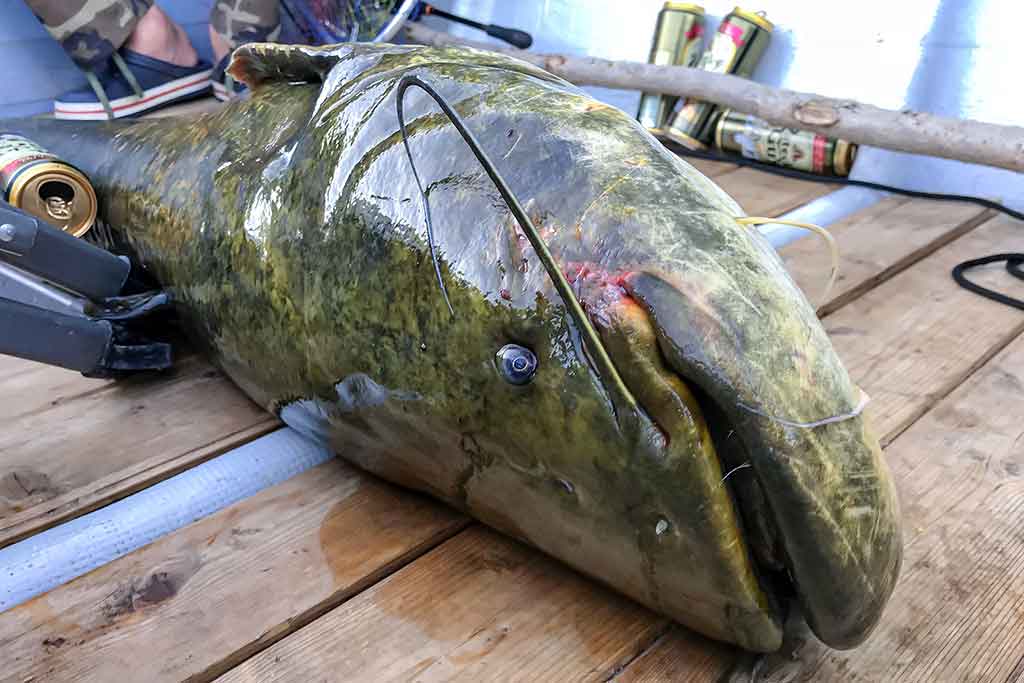 apie žūklę Ilio upės deltoje apie žūklę Ilio upės deltoje