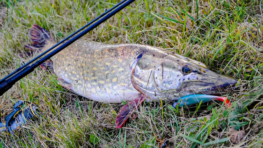 Ten, kur tekėjo upelis. Antra dalis