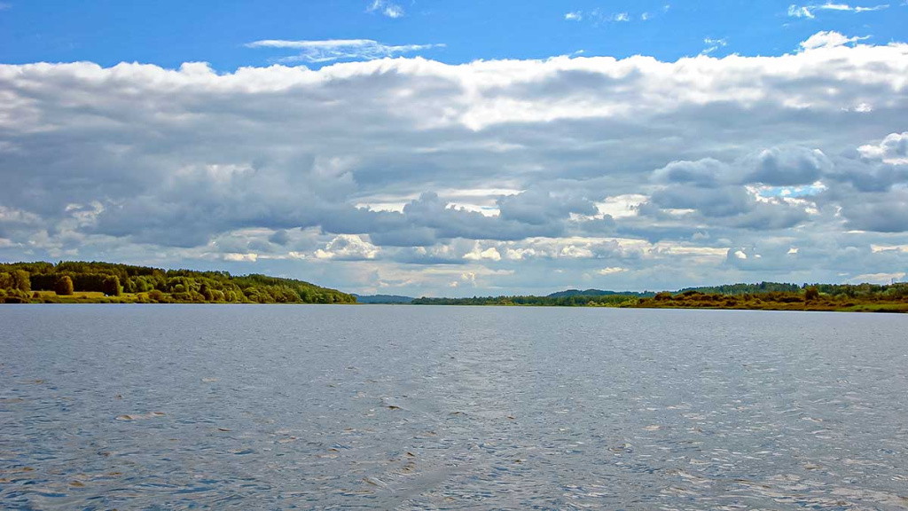 Maži masalai didelei žuviai. Pirma dalis