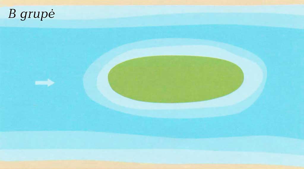 B grupių salos B grupių salos