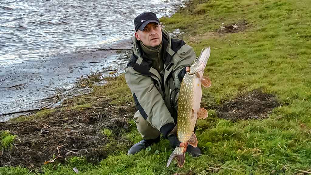 Lydekas – lydekomis. Apie žuvis kanibales