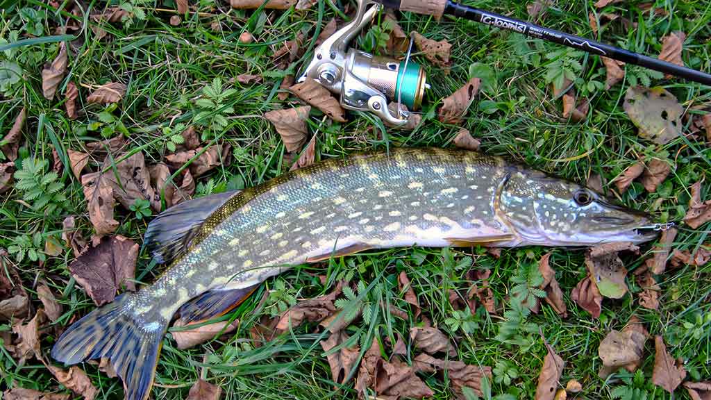 Klasika tapęs metalo gabalėlis. Pirma dalis Klasika tapęs metalo gabalėlis. Pirma dalis