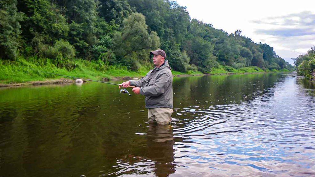 Švyst! Ir nuskrido... Antra dalis