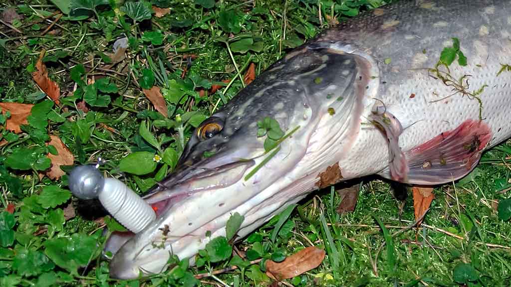 Tvisterių privalumai