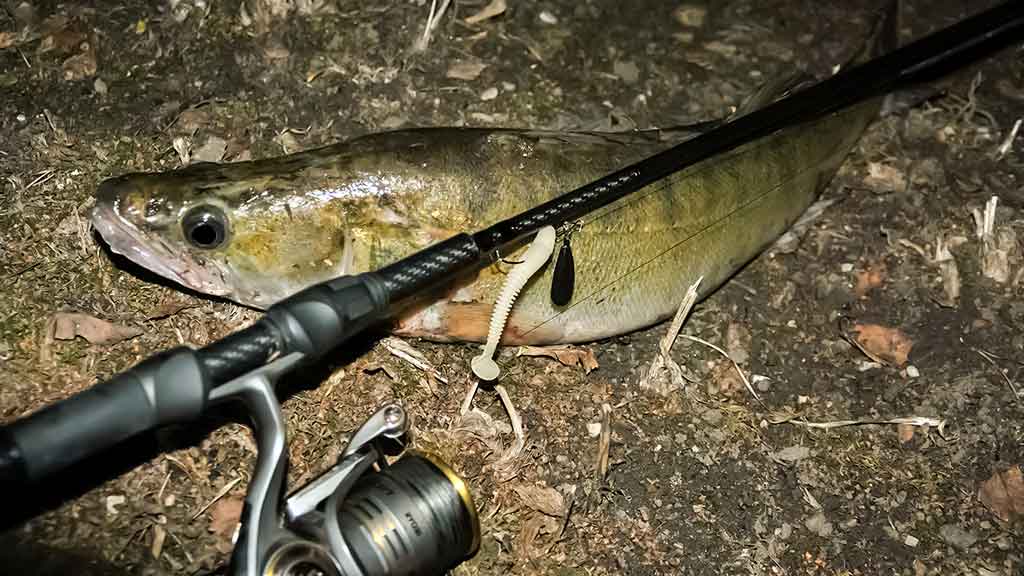 Kaip „reanimuoti“ guminukus Kaip „reanimuoti“ guminukus