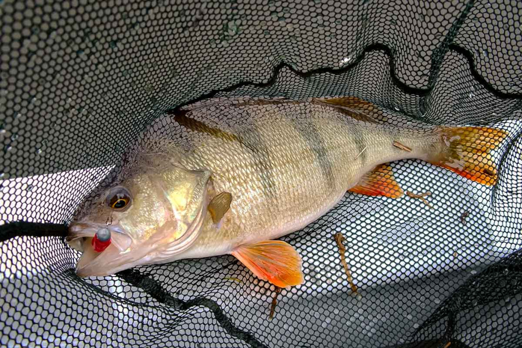 Apie saulę, vėją ir lietų. Pirma dalis