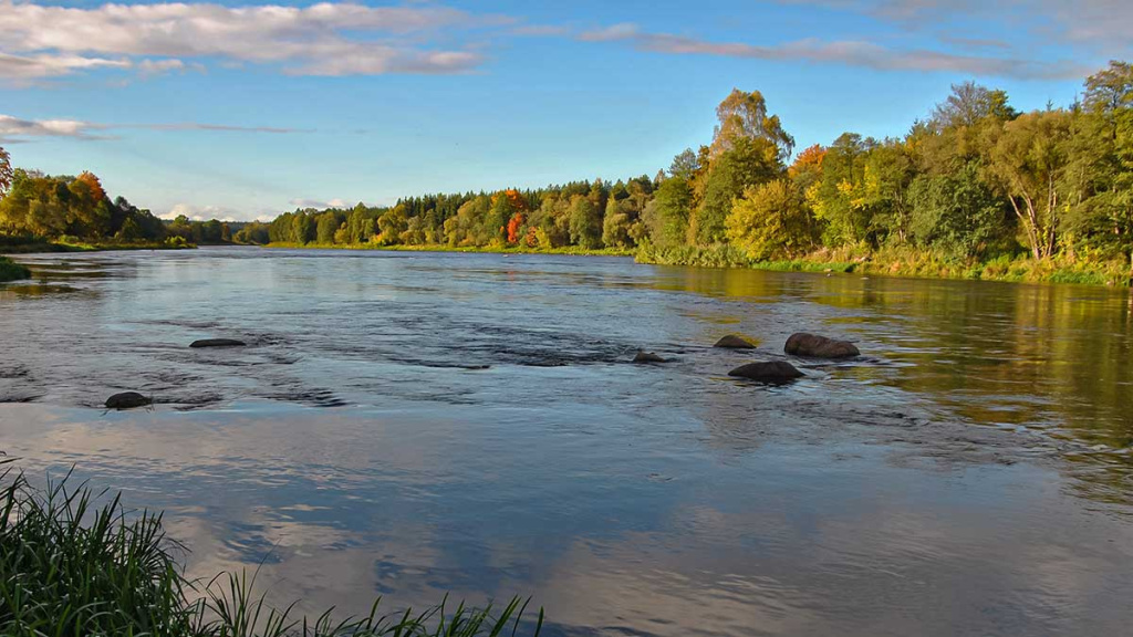 Sugrįžimas prie Neries
