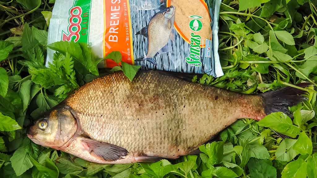 Meškeriojimas bolonine – aktyvios žūklės pavydėtų net spiningautojas