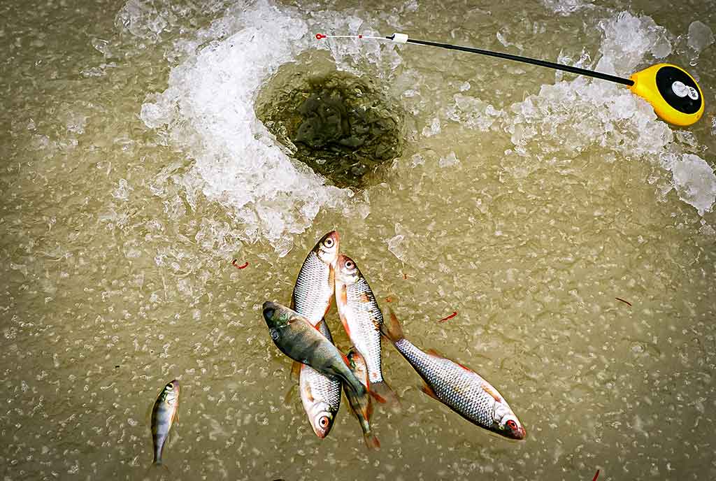 Sidabrinis blyksnis po pirmu ledu. Pirma dalis