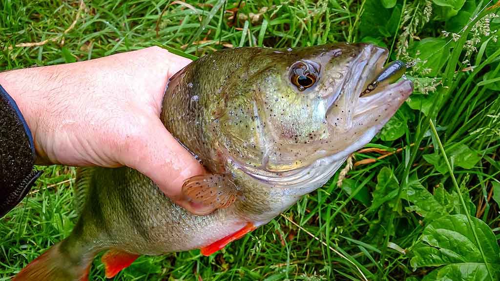 Kiek svarbus žvejui karabinas? Pirma dalis Kiek svarbus žvejui karabinas? Pirma dalis