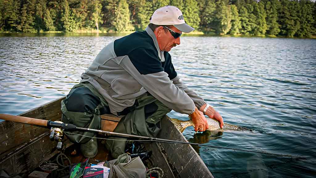 Lydekų žūklė suvešėjus vandenžolėms. „Vabalas“ plėšrūnėms 