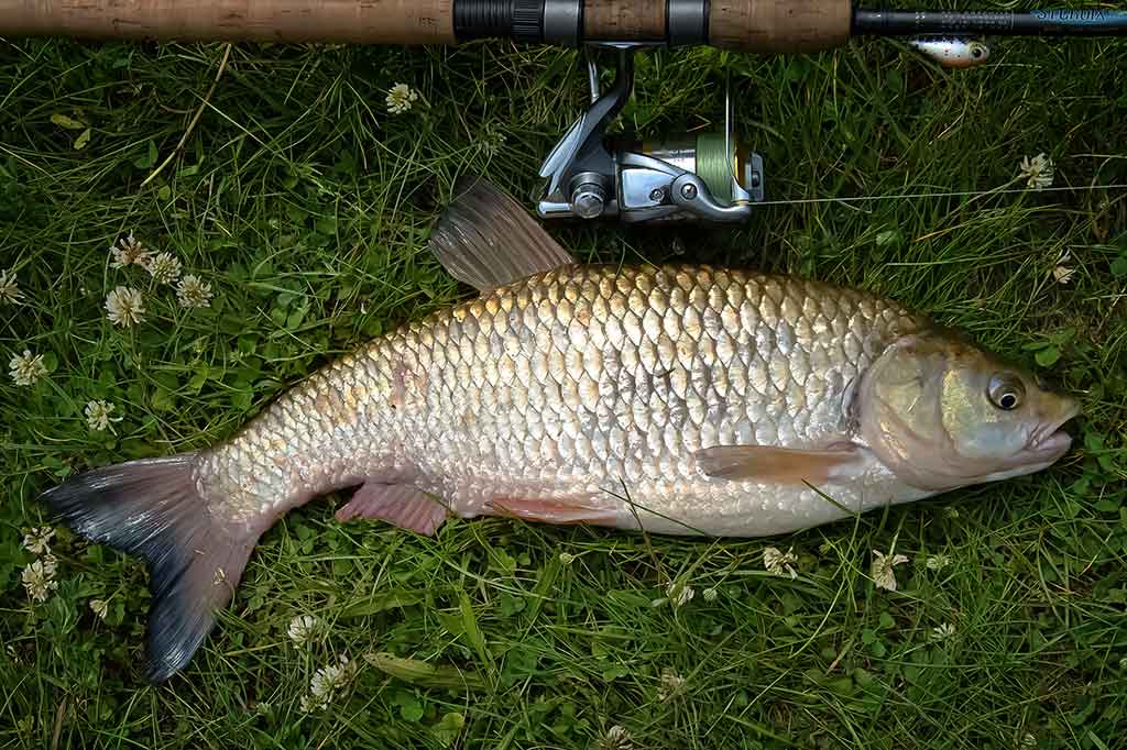 Šapalai ir vobleriai. Tinkami įrankiai