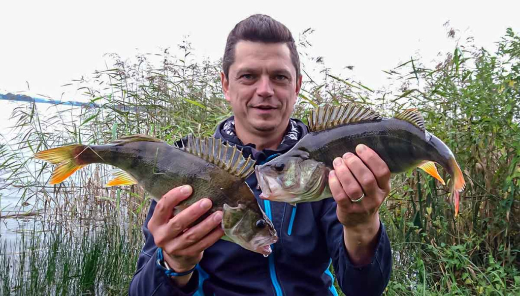 Ežerinio sterko paslaptis. Pirma dalis