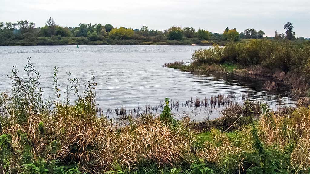Vieną rudenį prie Nemuno dambų