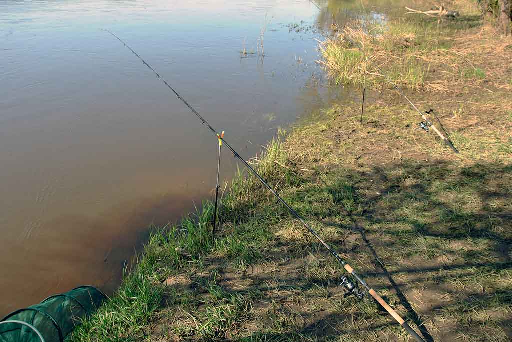 Kaip pagauti karšį? Kaip pagauti karšį?