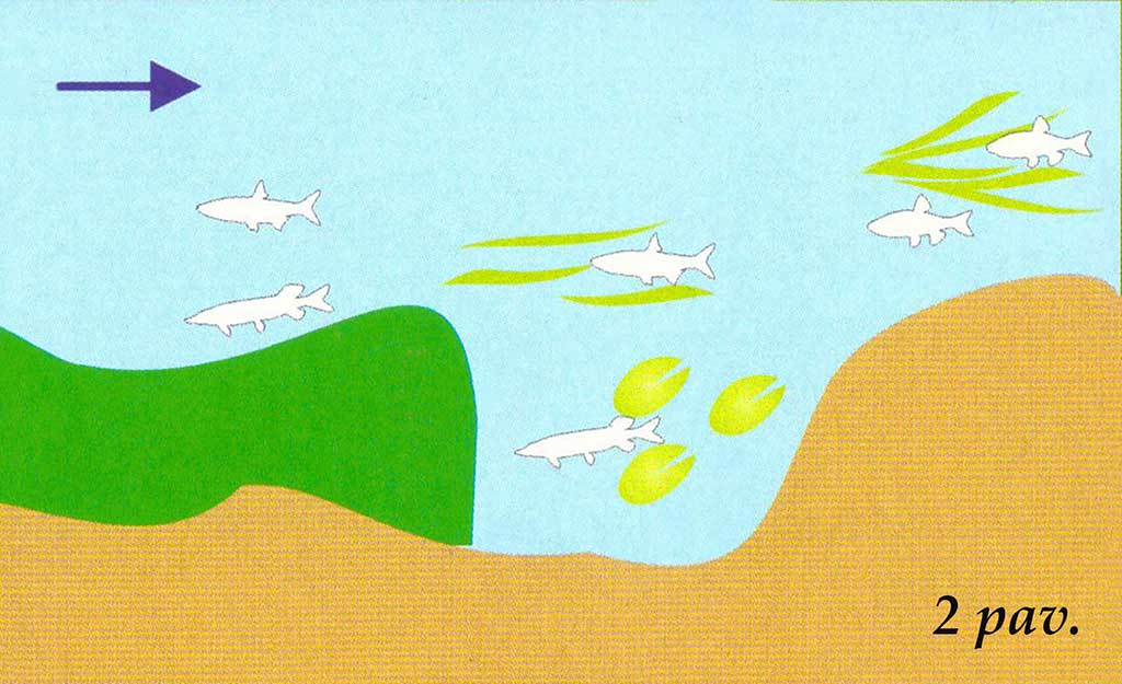 Vandenžolių tankynėje. Antra dalis Vandenžolių tankynėje. Antra dalis