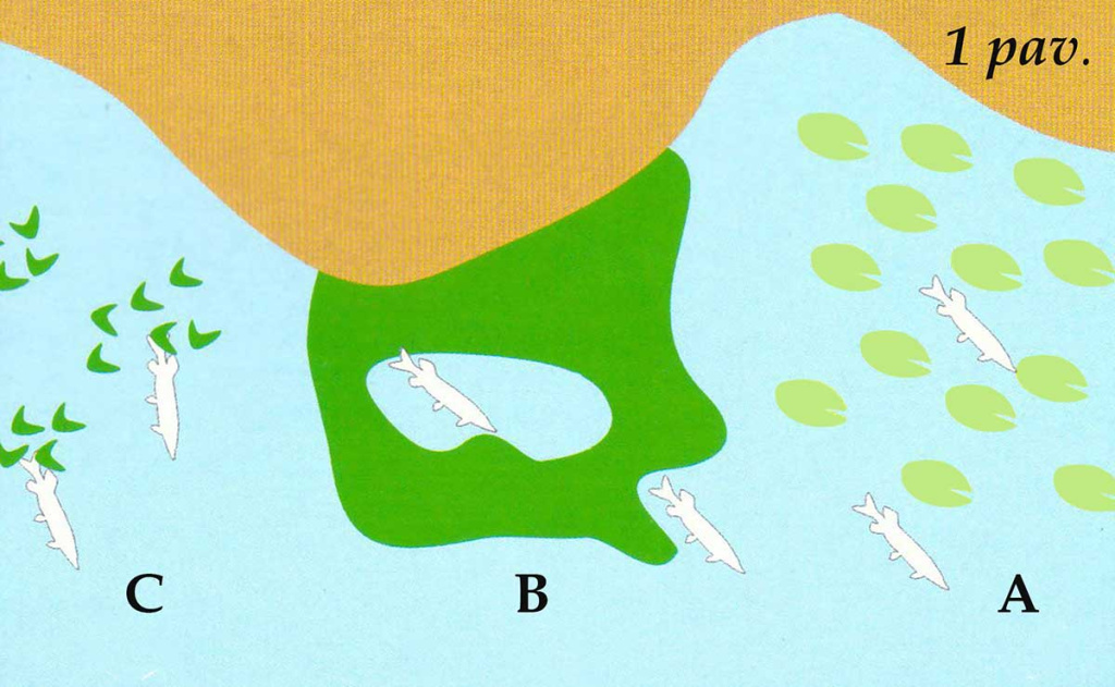 Vandenžolių tankmėje. Pirma dalis Vandenžolių tankmėje. Pirma dalis
