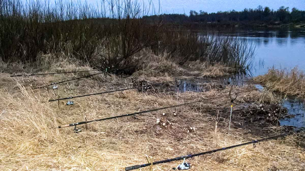 Nevyniojant į vatą apie vėgėlių žūklę. Žūklaviečių ypatumai