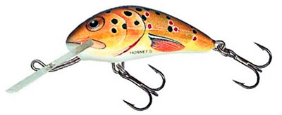 Salmo Hornet