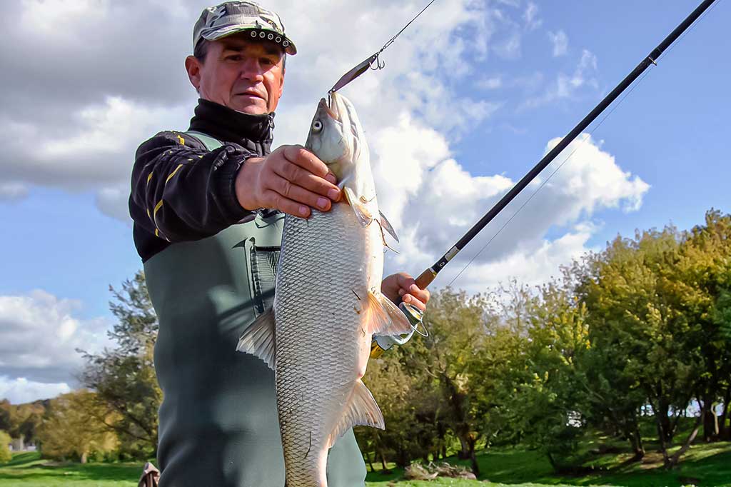 Ne tik salatiniai delikatesai. Antra dalis Ne tik salatiniai delikatesai. Antra dalis