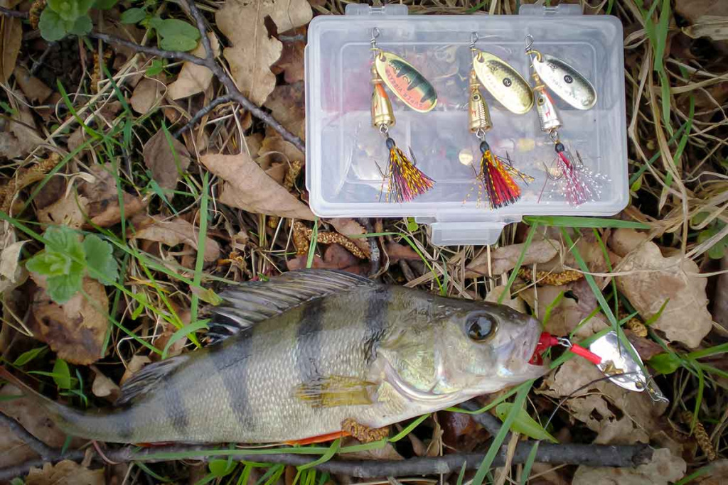 Nepailstanti žuvų viliotoja. 2 dalis