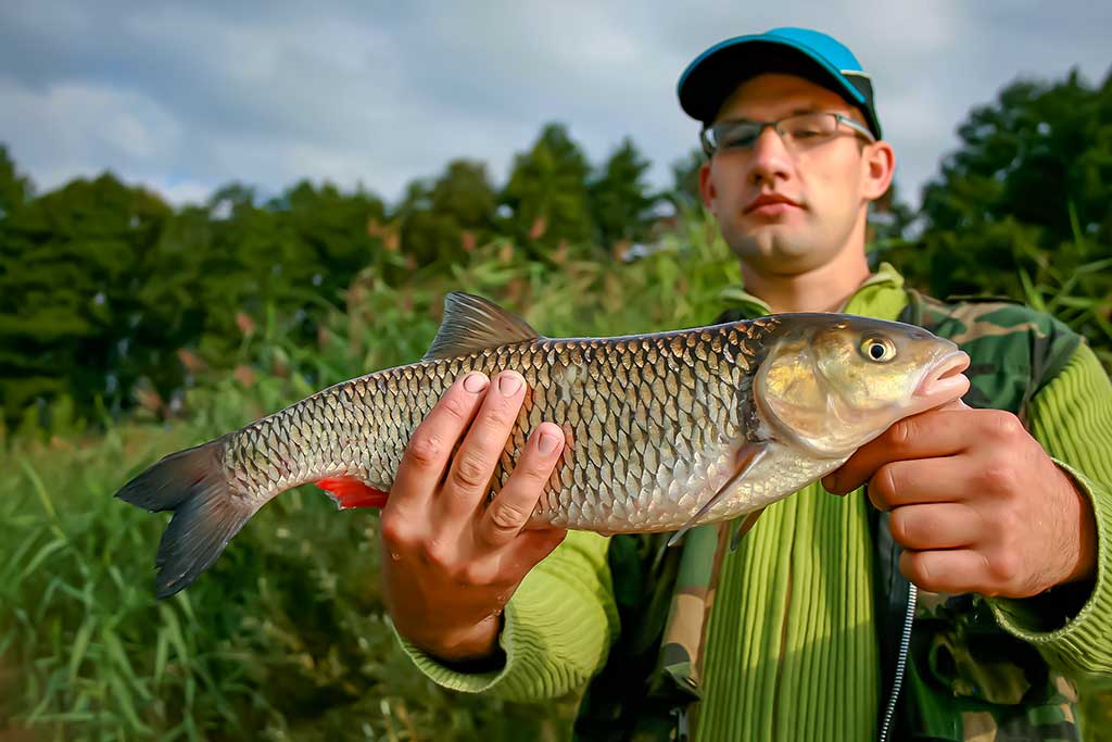 Plėšrūnai naktį nemiega. Pirma dalis