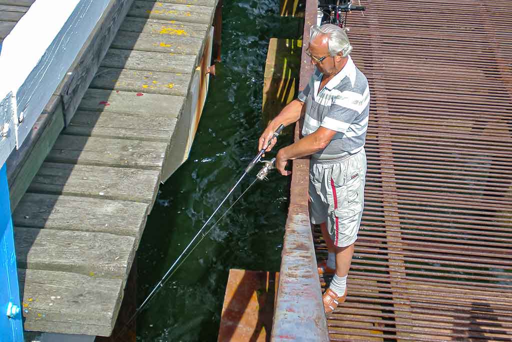 Švyst! Ir nuskrido... Trečia dalis Švyst! Ir nuskrido... Trečia dalis