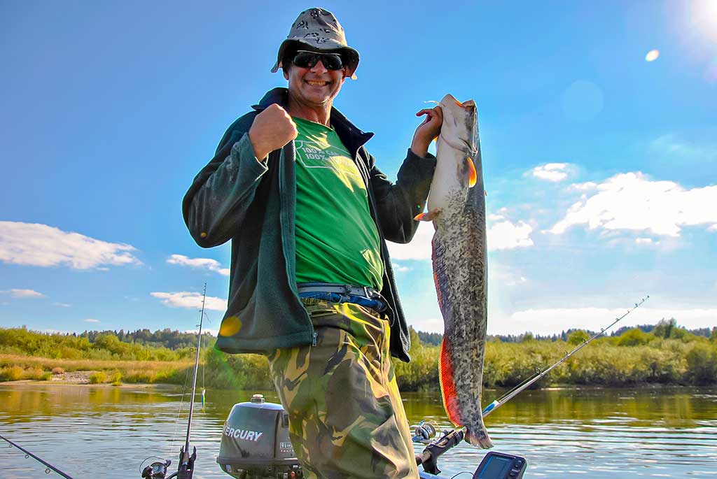 Kaip sugauti šamą? Kaip sugauti šamą?